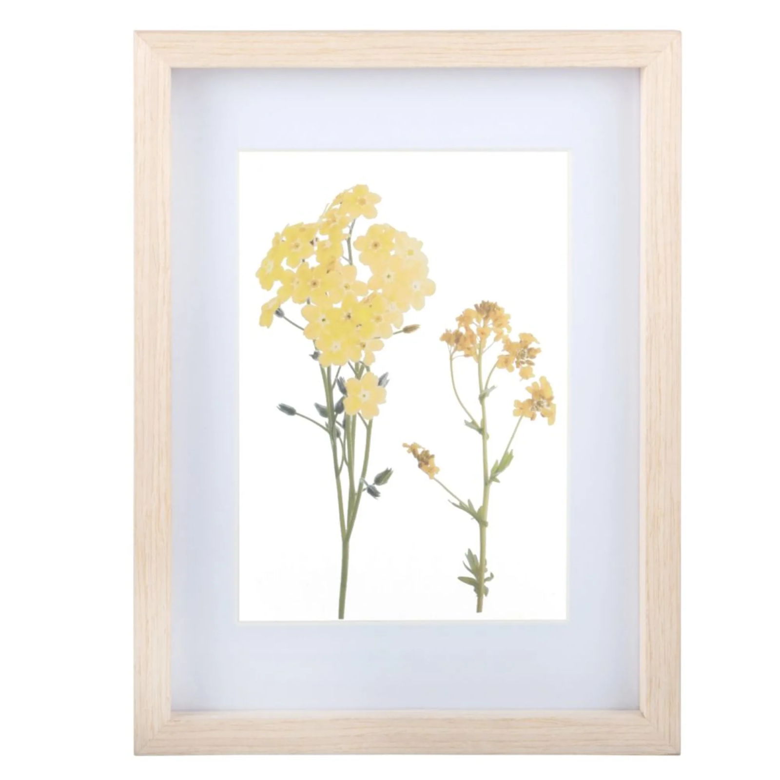tableau de fleurs séchées